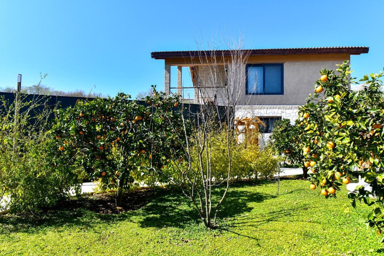 Volans Suites Villas Fethiye Dış mekan fotoğraf